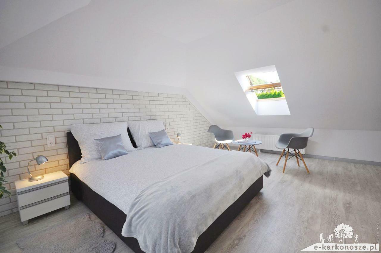 Apartament Widok Na Karkonosze Apartment Jezow Sudecki Екстериор снимка
